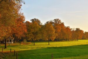 Herbst