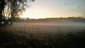 Herbst